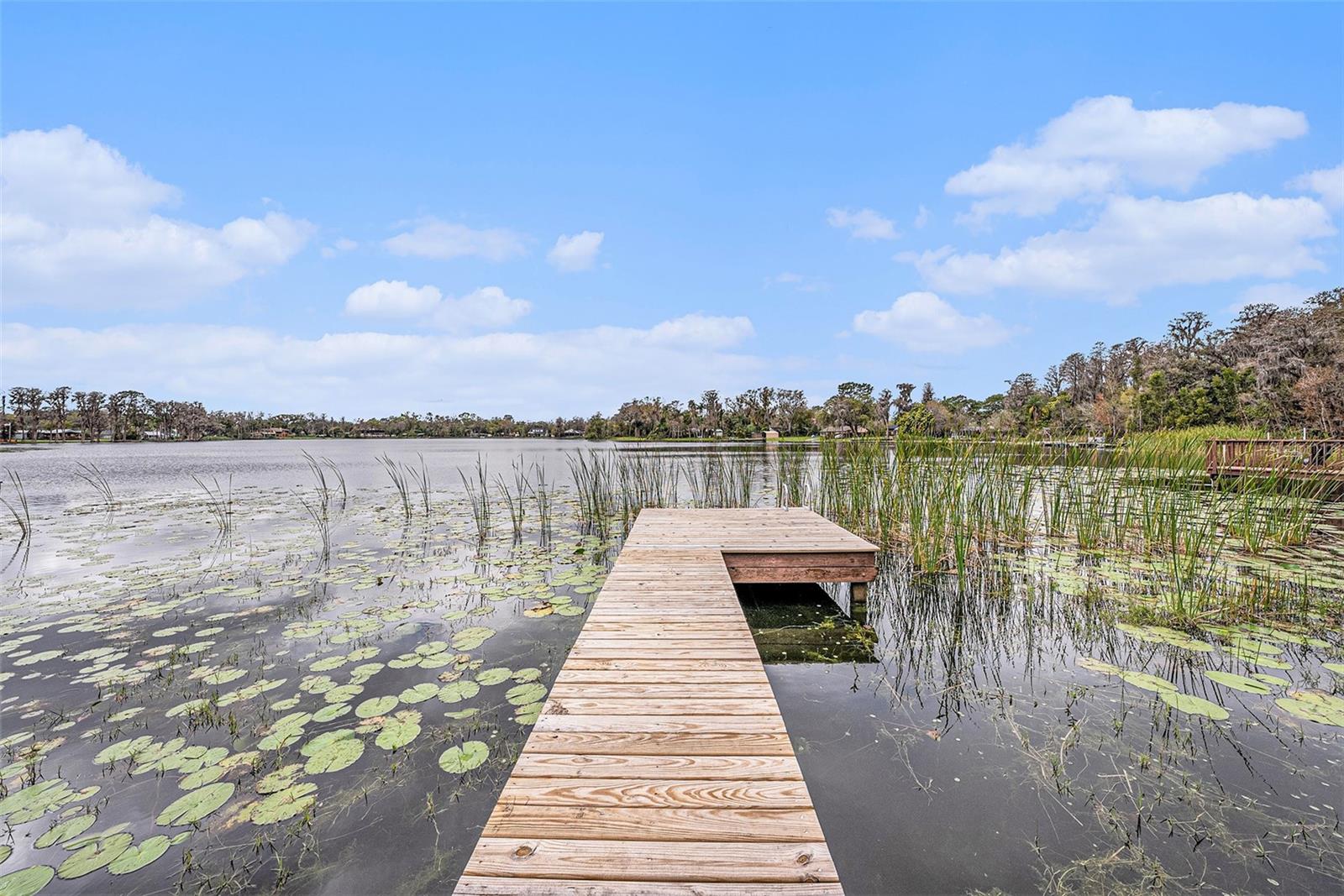 8922 DONNA LU DR, ODESSA, FL, 33556