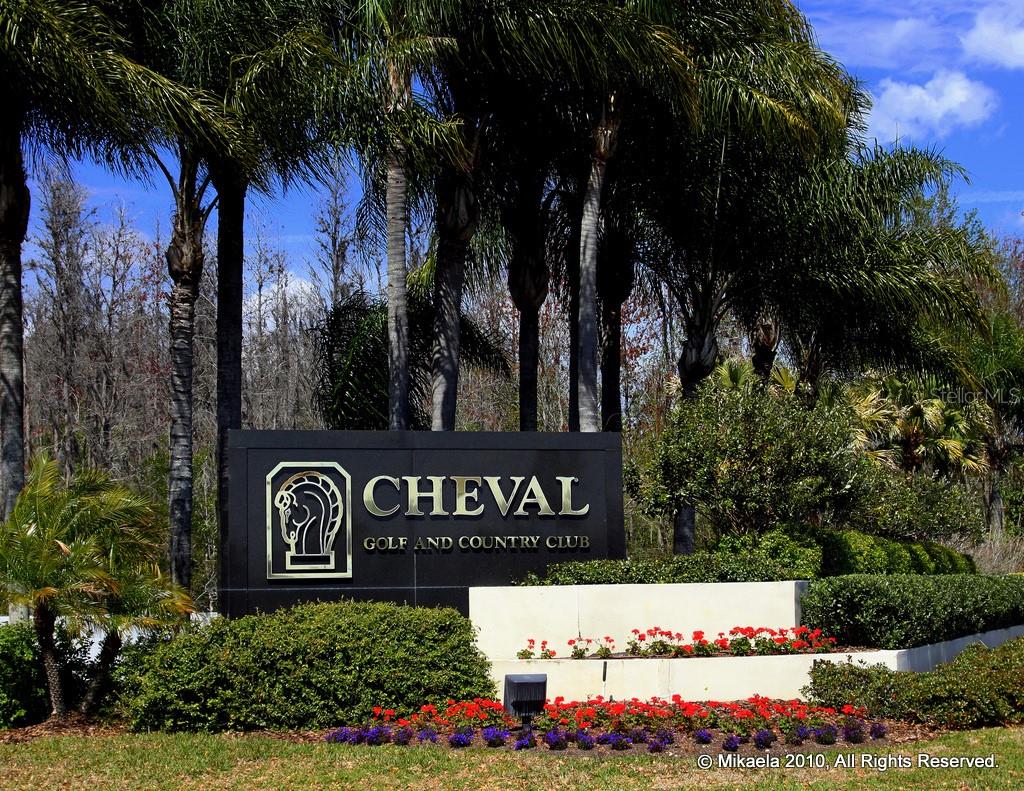 4110 HIGHLAND PARK CIR, LUTZ, FL, 33558