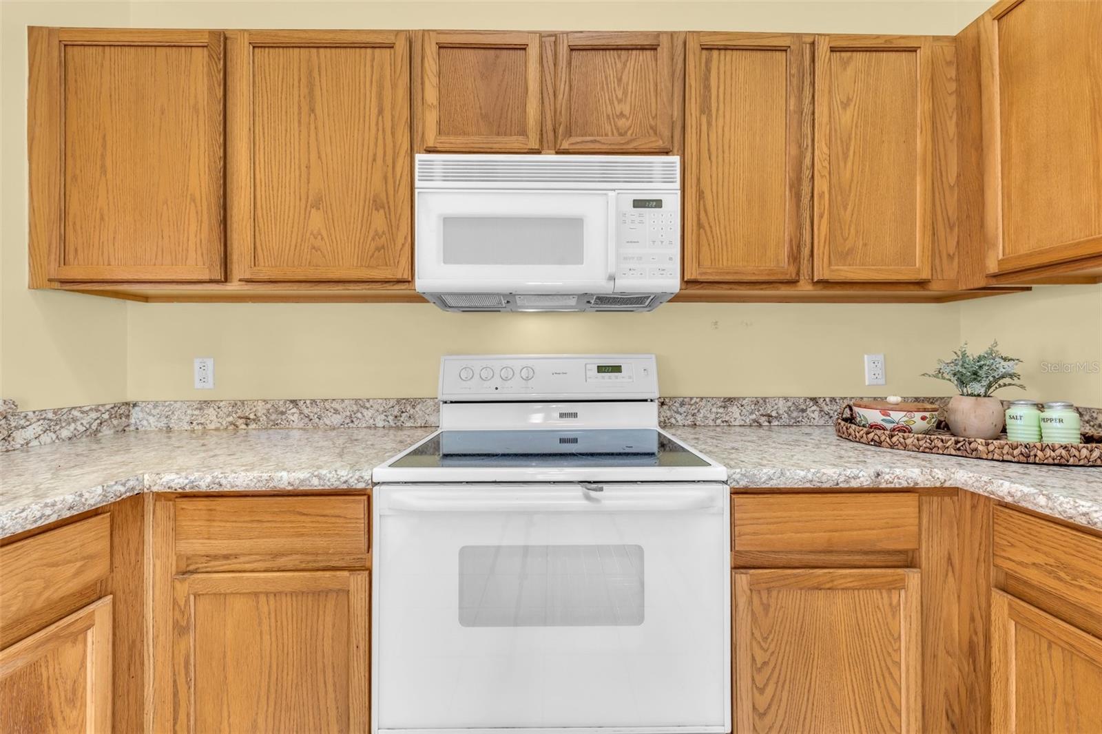 103 DELANEY PARK AVE, DAVENPORT, FL, 33897