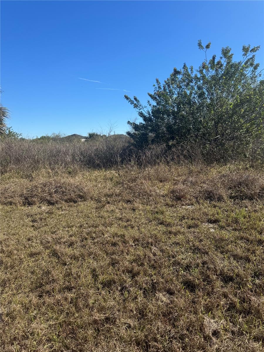 7031 SHASTA CIR, LABELLE, FL, 33935