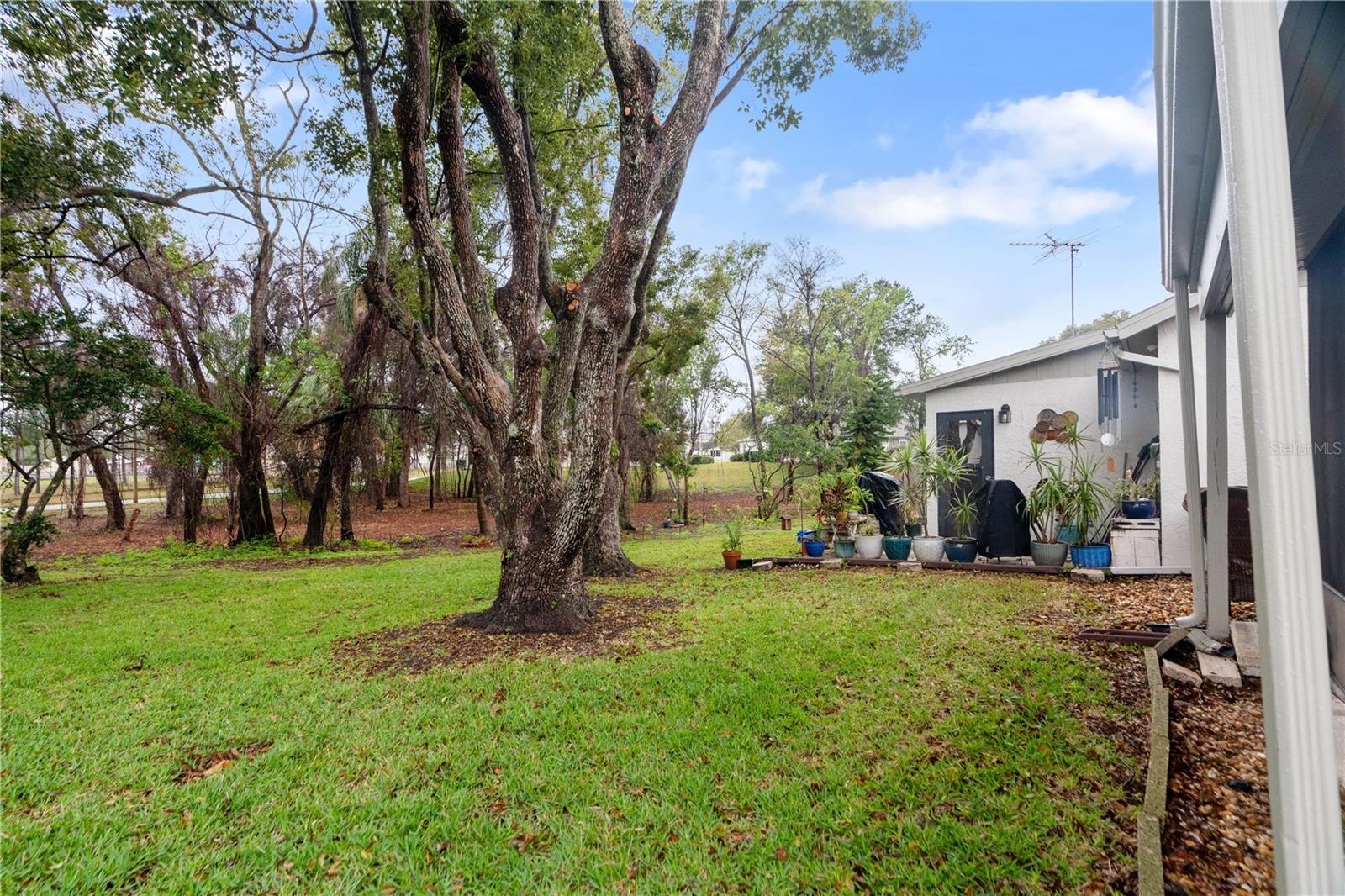 11725 SPRING TREE LN, PORT RICHEY, FL, 34668