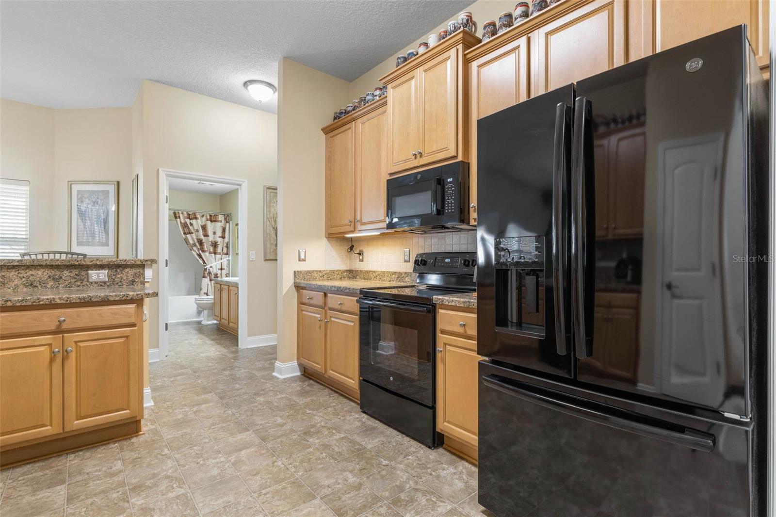 45 PRINCE MICHAEL LN, PALM COAST, FL, 32164