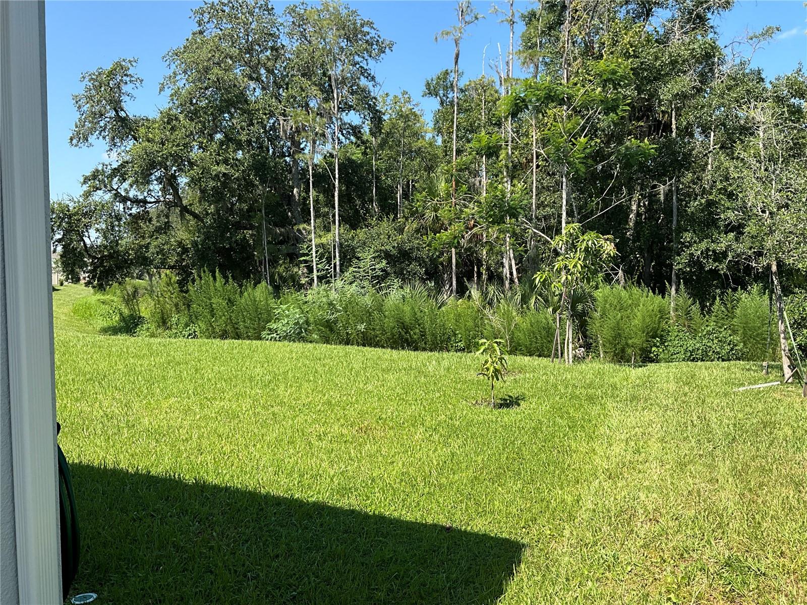 5179 ROYAL POINT AVE, KISSIMMEE, FL, 34746