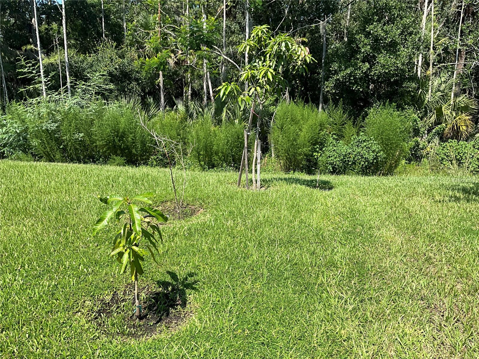 5179 ROYAL POINT AVE, KISSIMMEE, FL, 34746