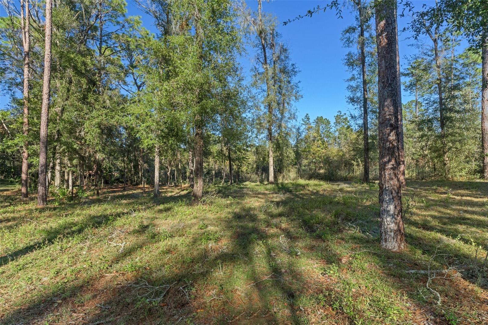 10271 S EVANS PT, INVERNESS, FL, 34452