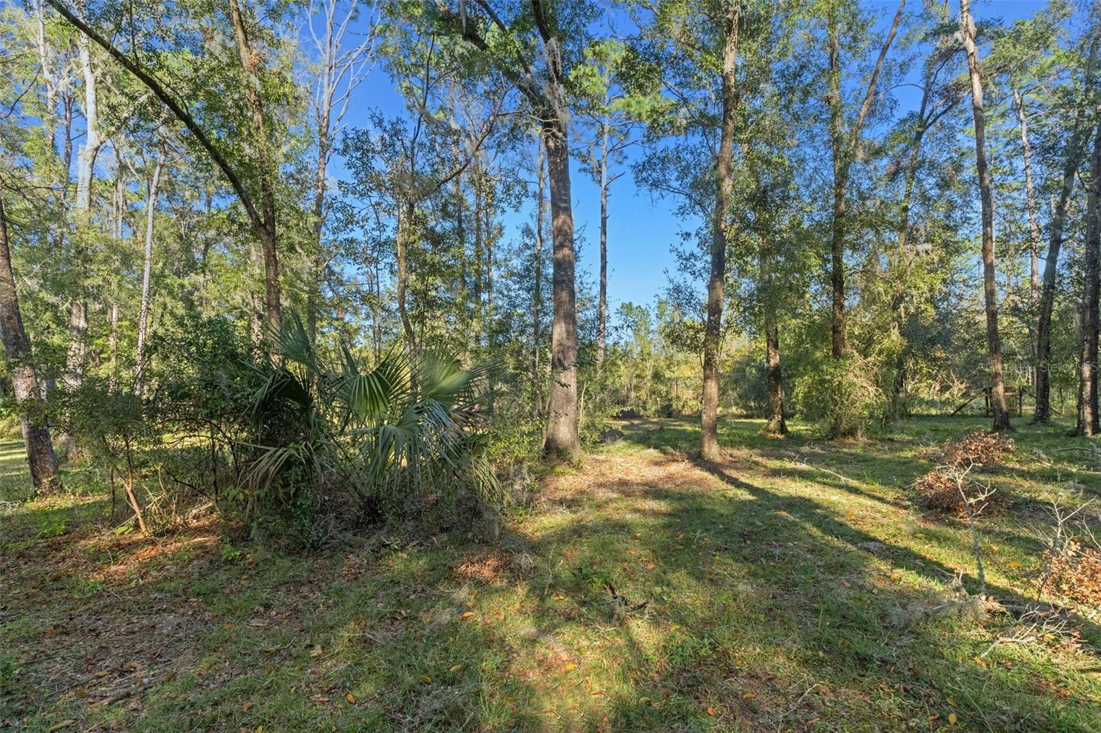 10271 S EVANS PT, INVERNESS, FL, 34452