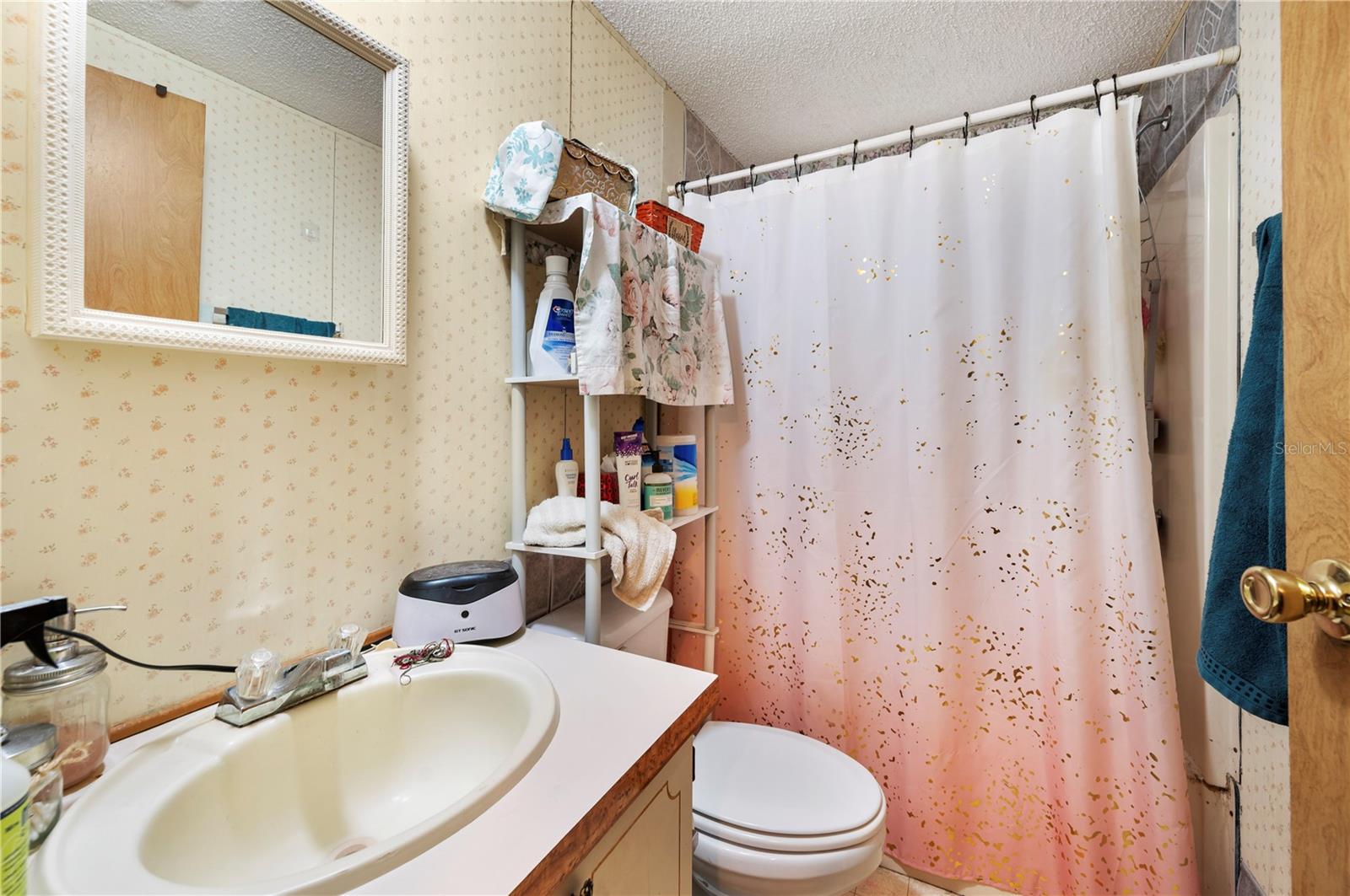 4336 PORTAGE DR, POLK CITY, FL, 33868