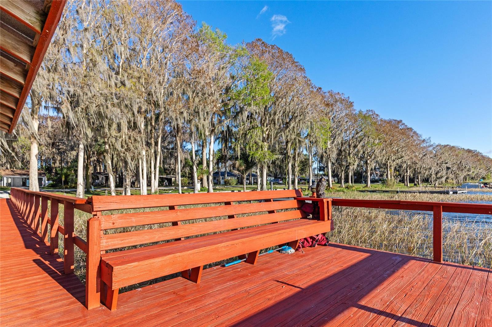 11243 DEAD RIVER RD, TAVARES, FL, 32778
