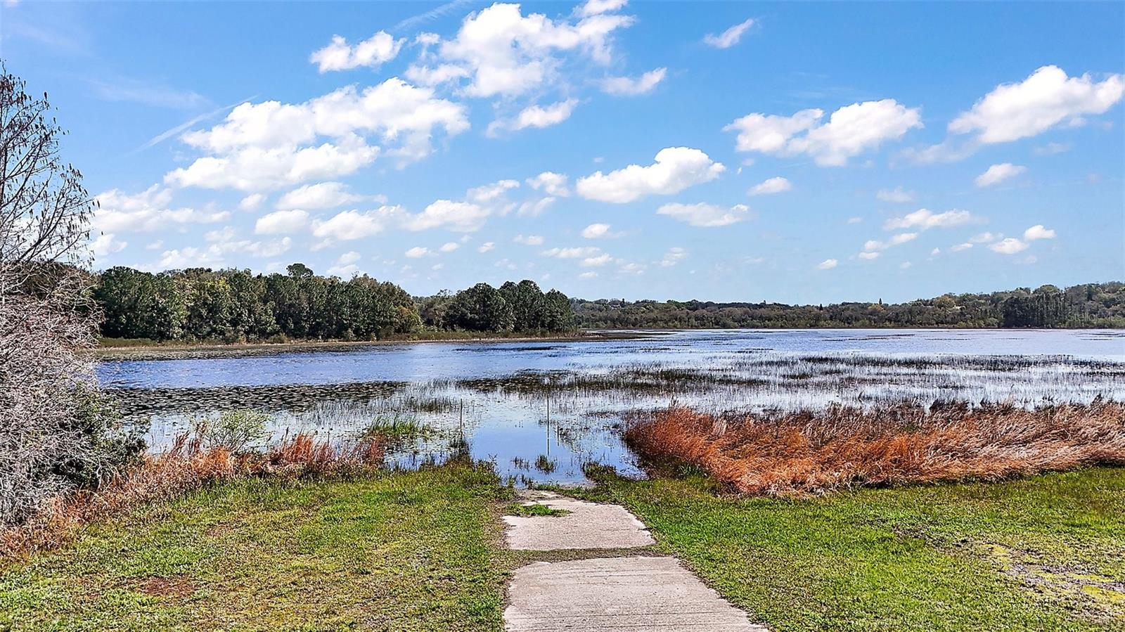 13201 PLUM LAKE CIR, MINNEOLA, FL, 34715