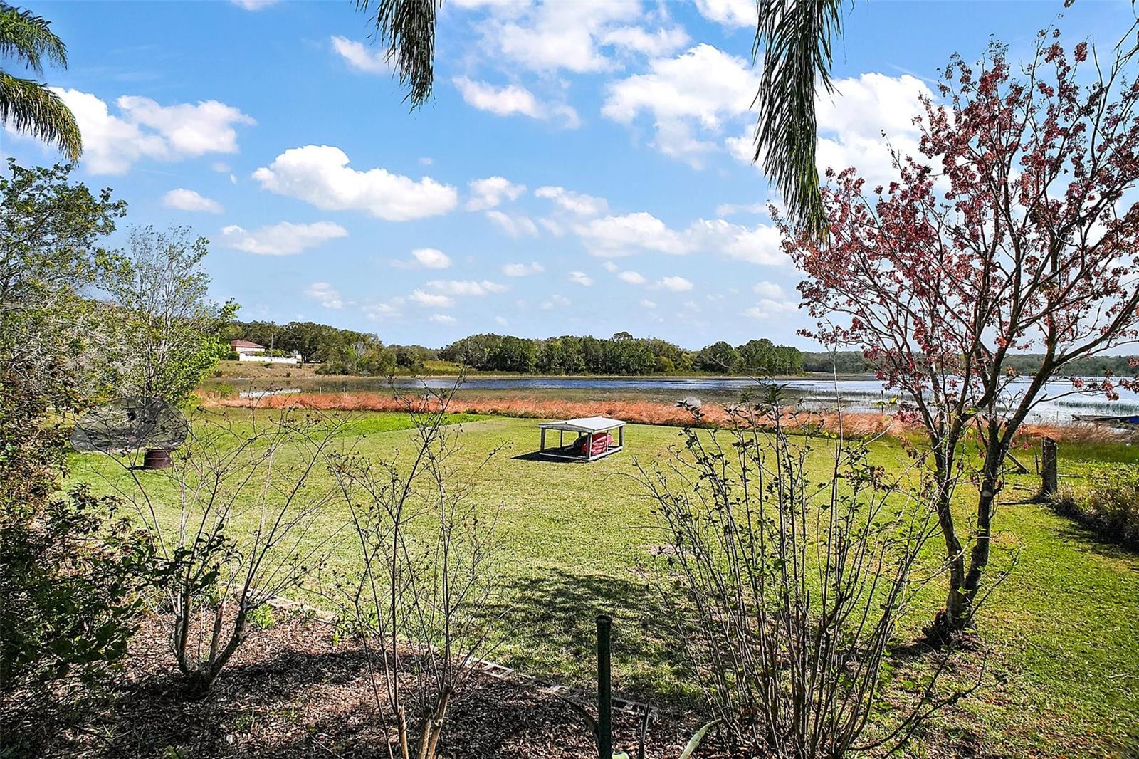 13201 PLUM LAKE CIR, MINNEOLA, FL, 34715