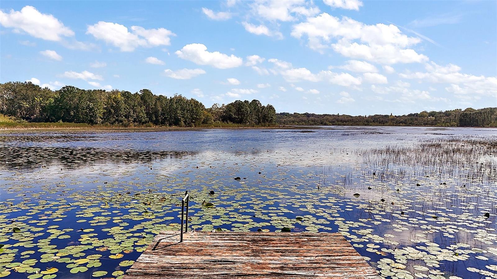 13201 PLUM LAKE CIR, MINNEOLA, FL, 34715