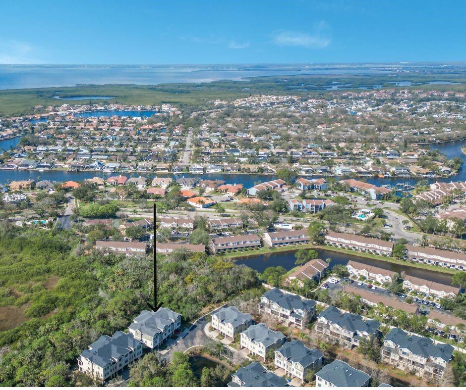 9705 BAY GROVE LN, TAMPA, FL, 33615