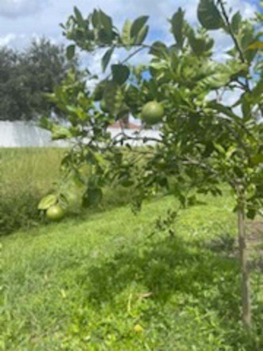 2115 PAN AMERICAN BLVD, NORTH PORT, FL, 34287