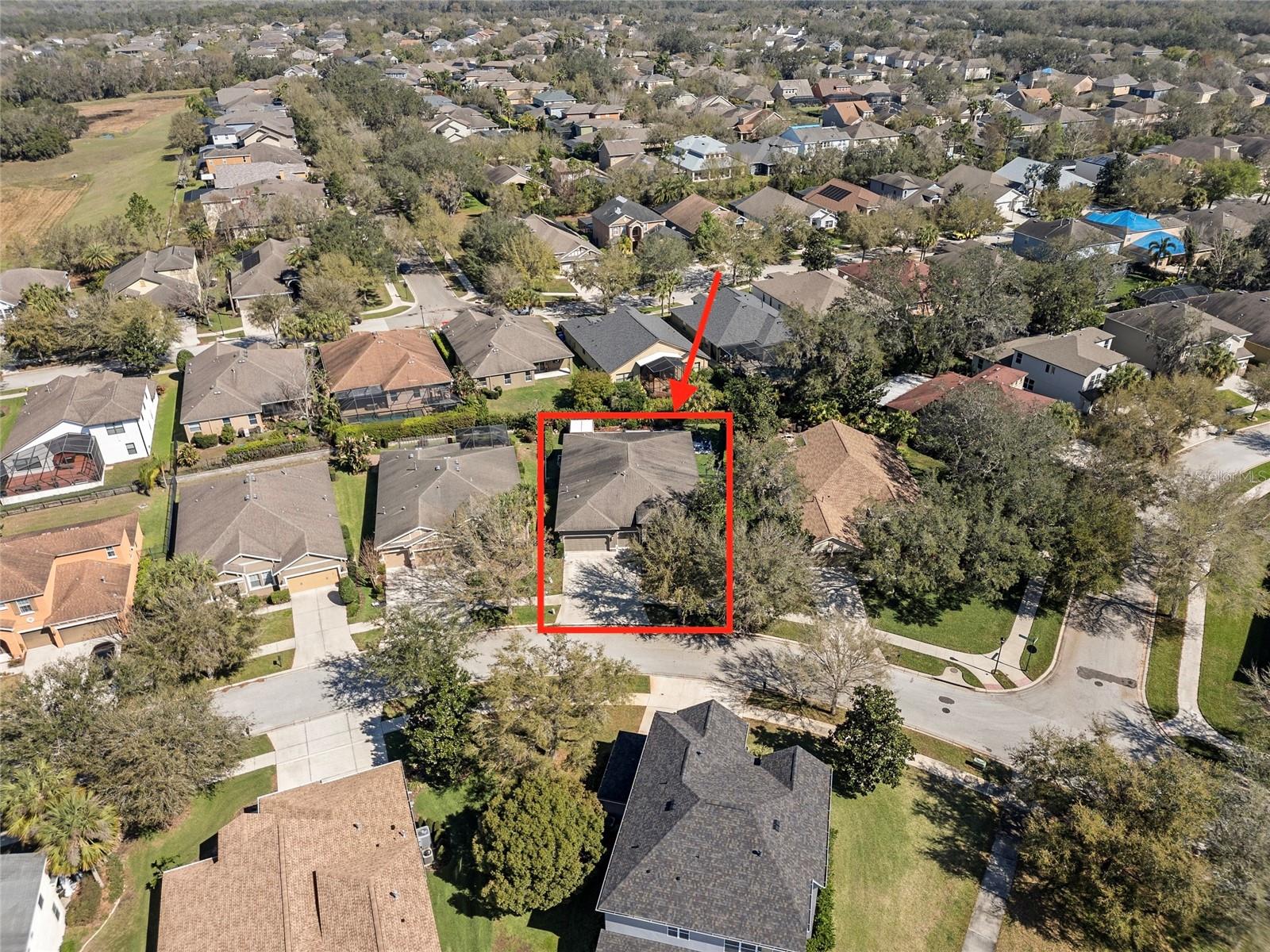 15664 STARLING WATER DR, LITHIA, FL, 33547