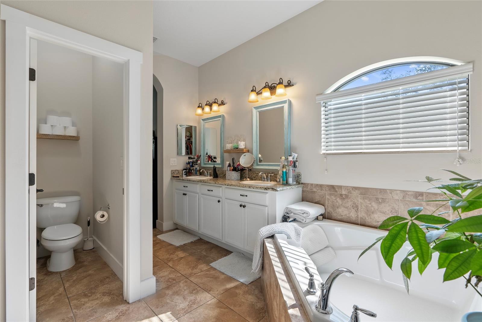 15664 STARLING WATER DR, LITHIA, FL, 33547