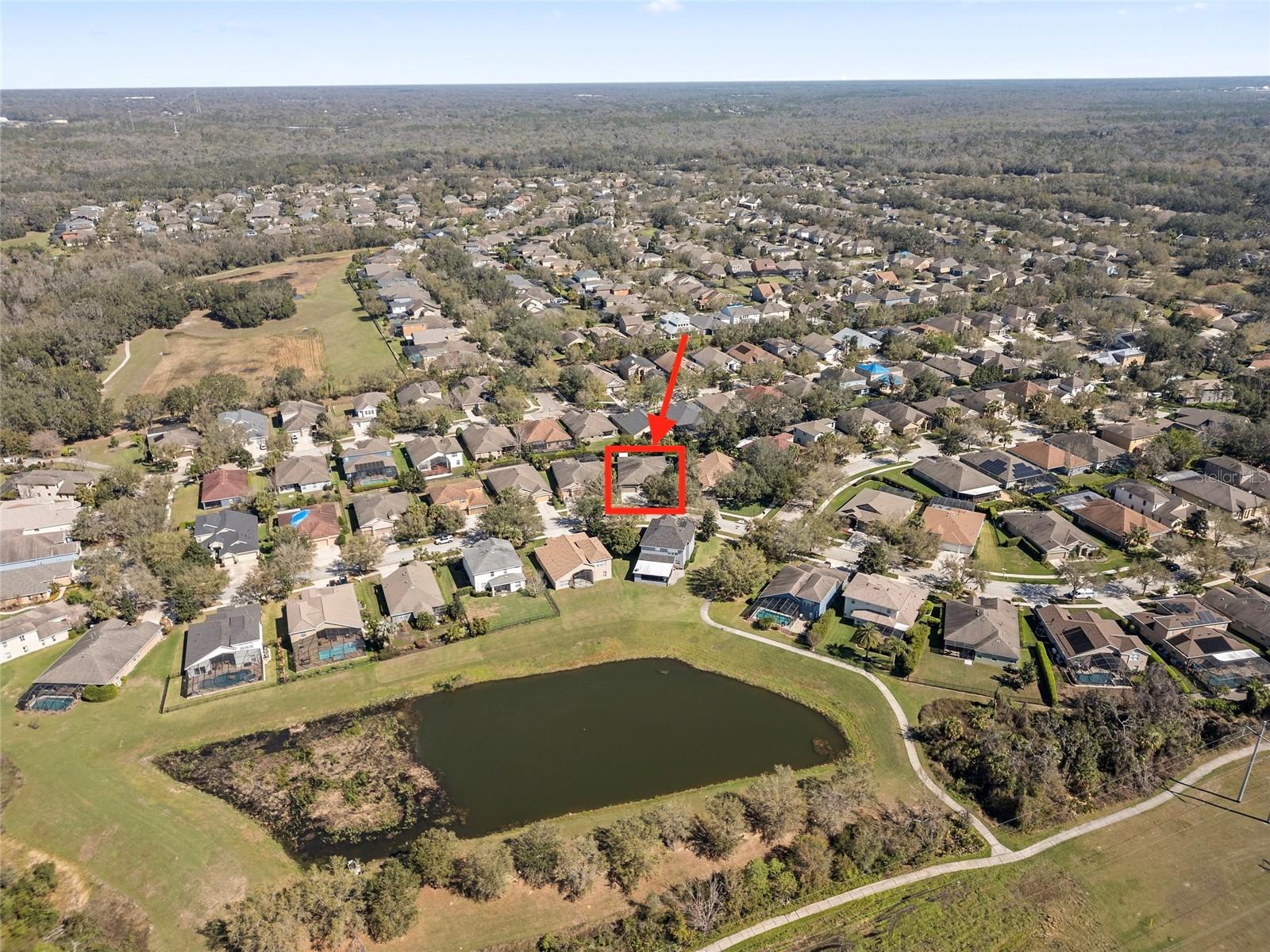 15664 STARLING WATER DR, LITHIA, FL, 33547