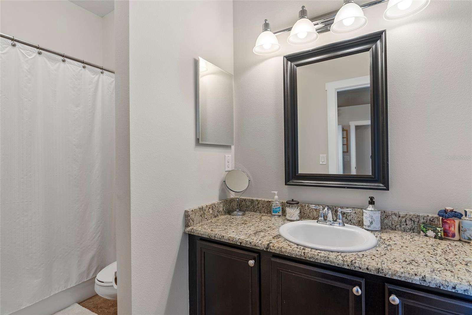 15664 STARLING WATER DR, LITHIA, FL, 33547