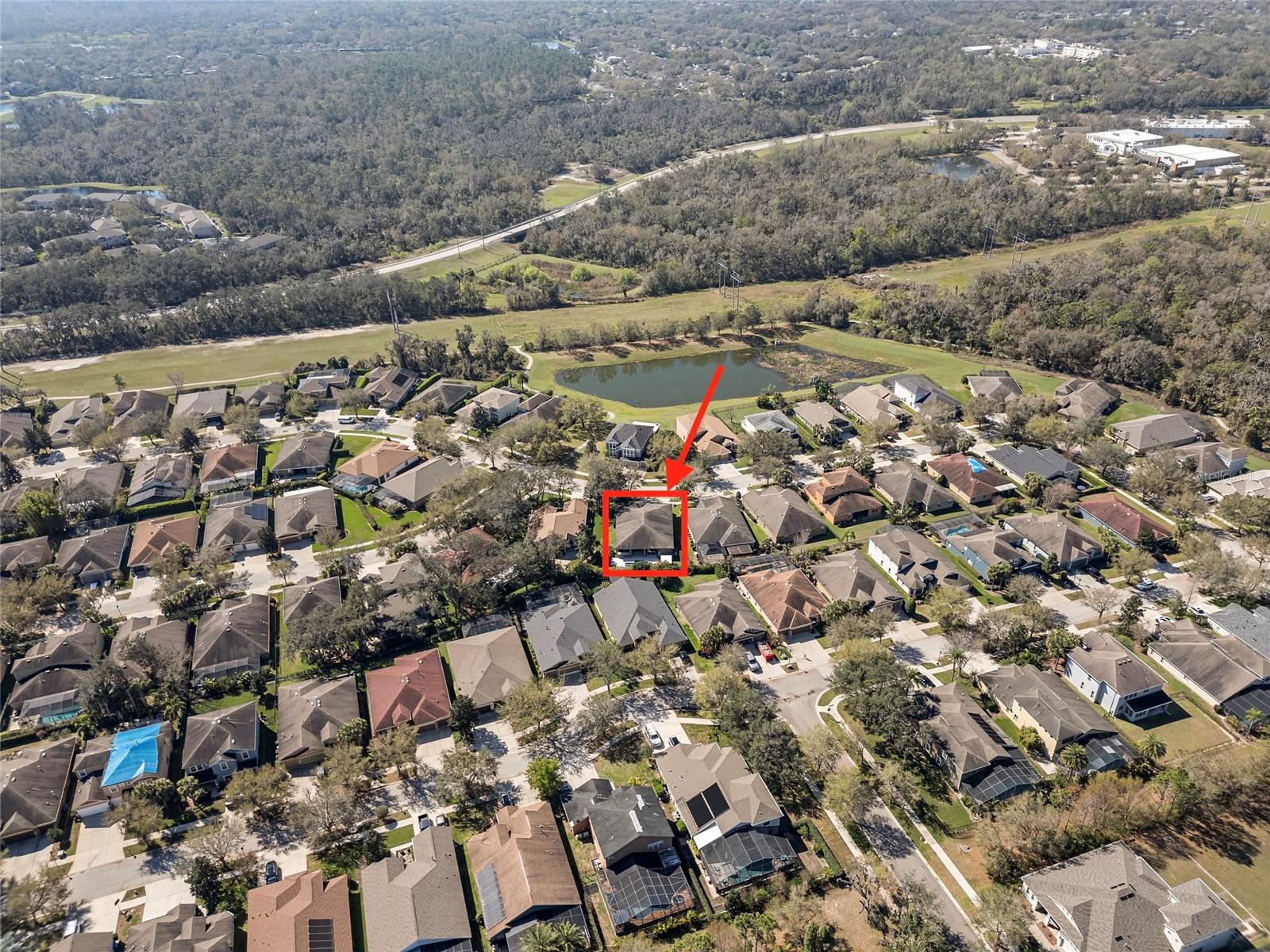 15664 STARLING WATER DR, LITHIA, FL, 33547