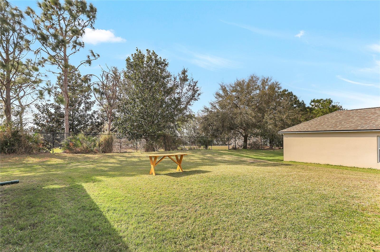 154 DESIREE AURORA ST, WINTER GARDEN, FL, 34787