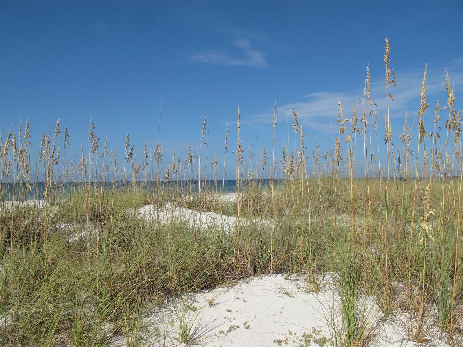 11 SAN MARCO ST #807, CLEARWATER BEACH, FL, 33767