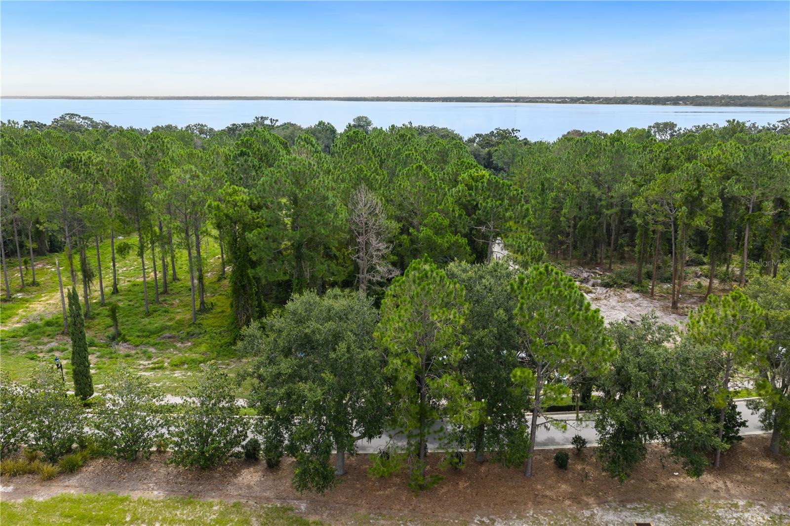 17027 CRETE WAY, BELLA COLLINA, FL, 34756