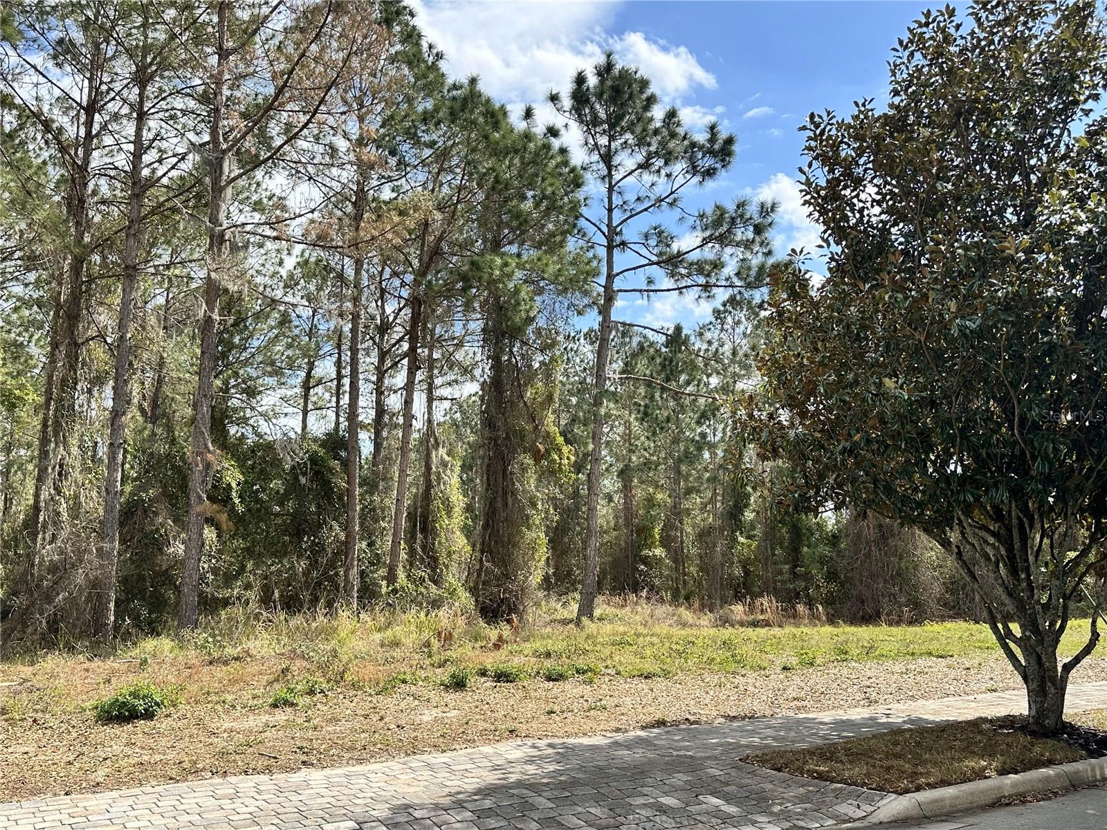 17027 CRETE WAY, BELLA COLLINA, FL, 34756