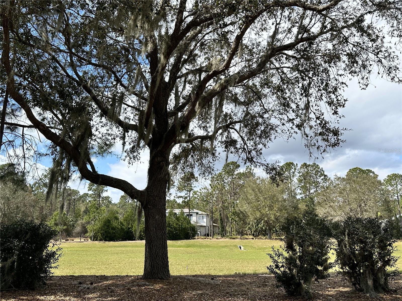 17027 CRETE WAY, BELLA COLLINA, FL, 34756