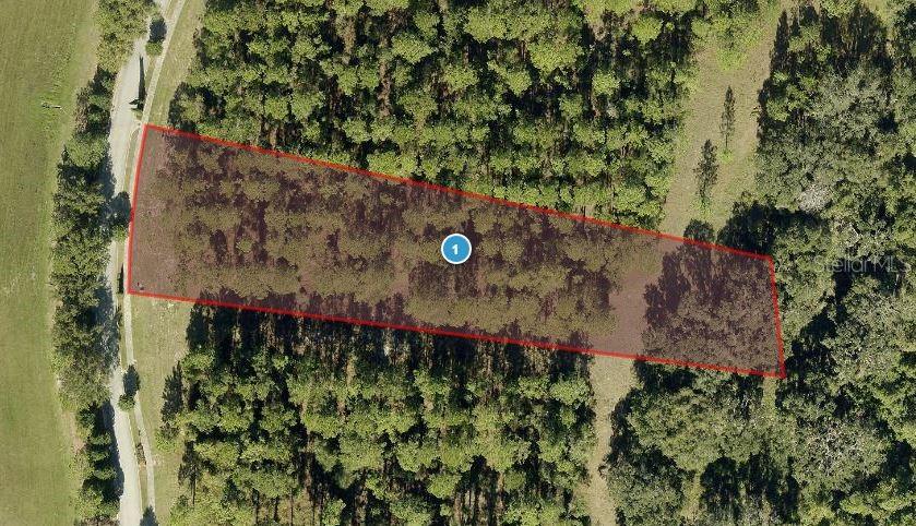 17027 CRETE WAY, BELLA COLLINA, FL, 34756