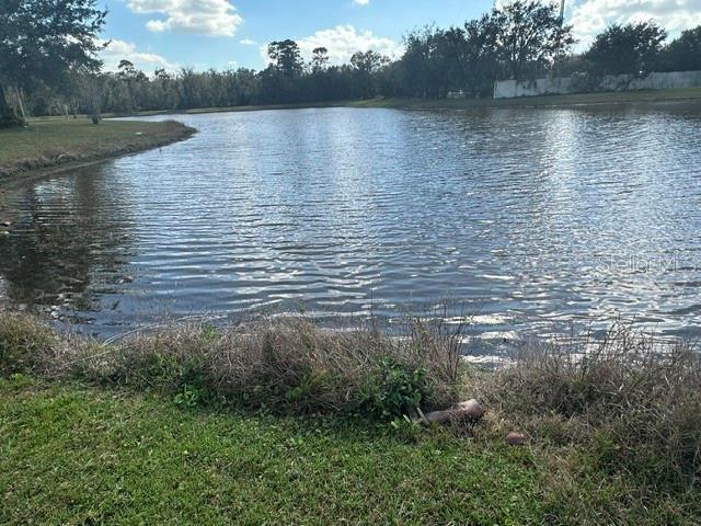 10446 STONE GLEN DR, ORLANDO, FL, 32825