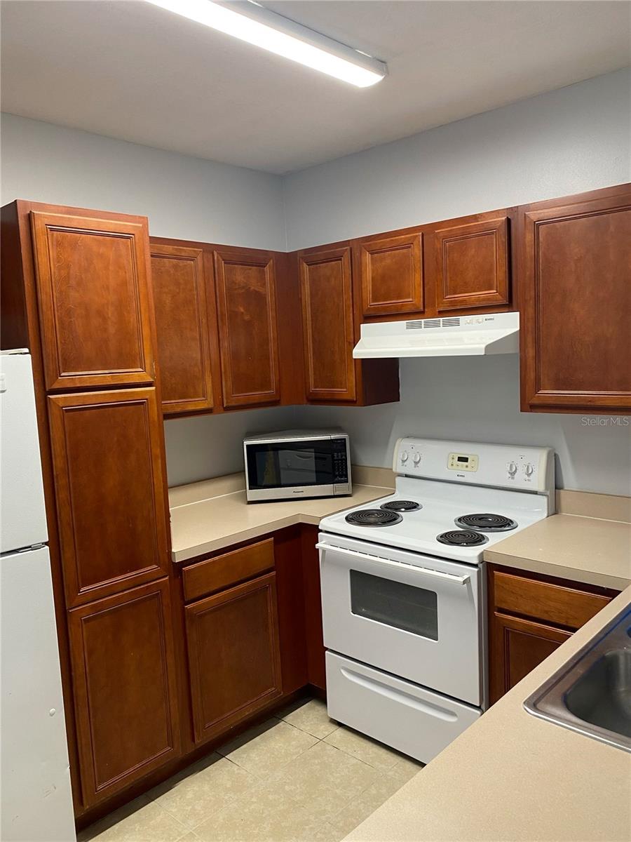 3238 BROKEN BOW DR, LAND O LAKES, FL, 34639