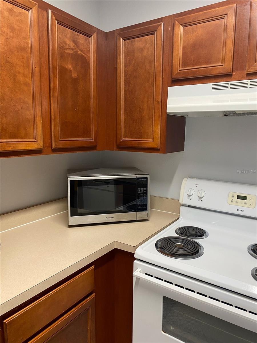 3238 BROKEN BOW DR, LAND O LAKES, FL, 34639