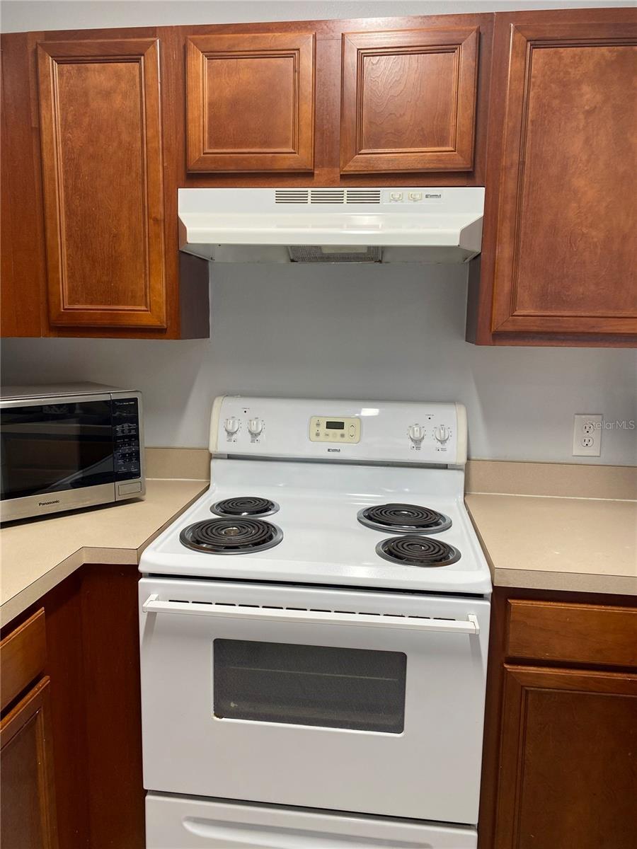 3238 BROKEN BOW DR, LAND O LAKES, FL, 34639