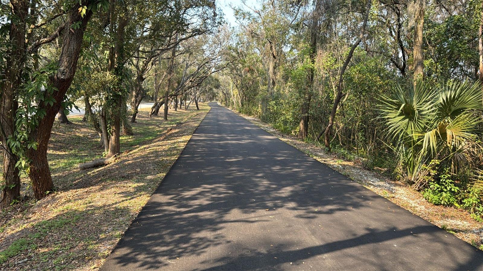 P4933730 Property Photo