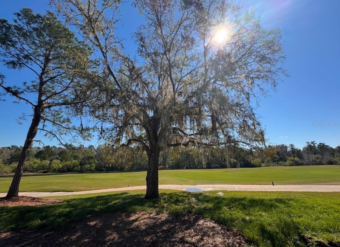 3985 SOUTHERN VALLEY LOOP, BROOKSVILLE, FL, 34601