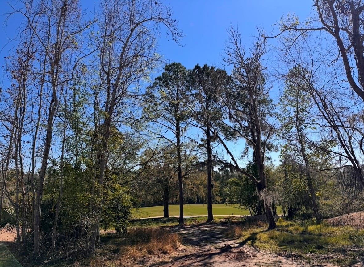 3985 SOUTHERN VALLEY LOOP, BROOKSVILLE, FL, 34601