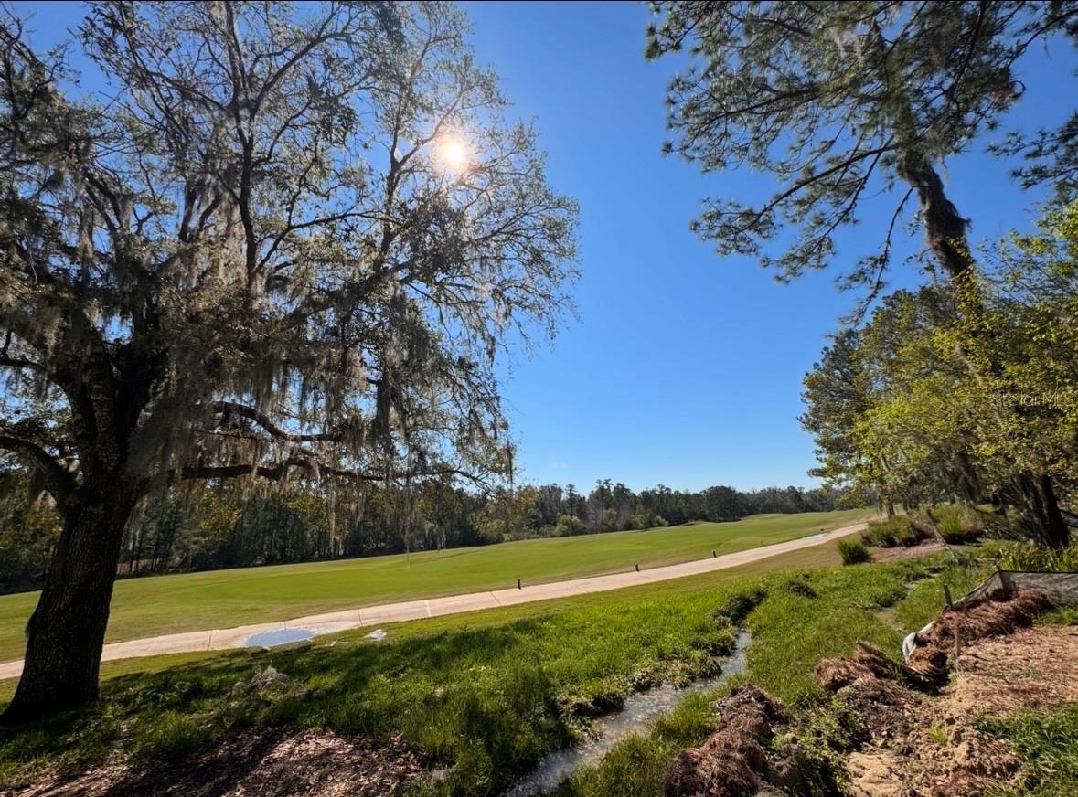 3985 SOUTHERN VALLEY LOOP, BROOKSVILLE, FL, 34601