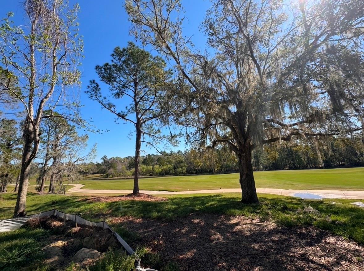 3985 SOUTHERN VALLEY LOOP, BROOKSVILLE, FL, 34601