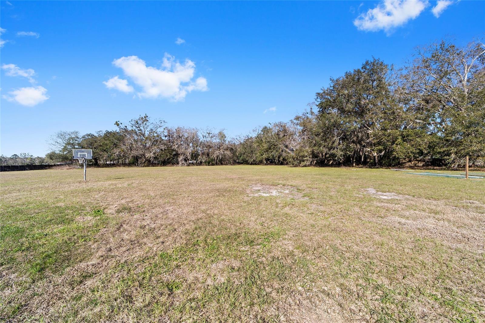 20536 NW 20TH TER, BROOKER, FL, 32622