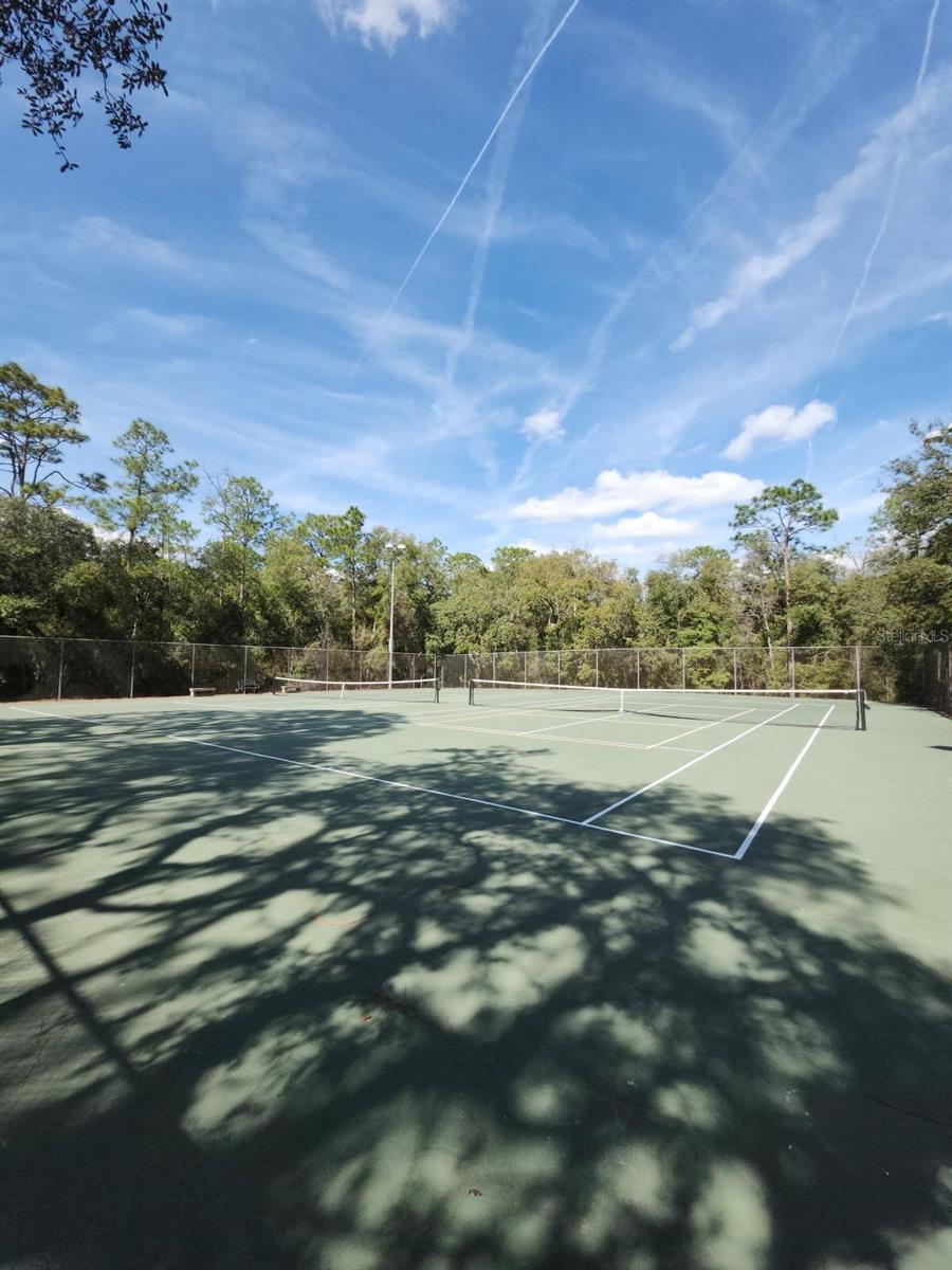 8827 N MENDOZA WAY, CITRUS SPRINGS, FL, 34434
