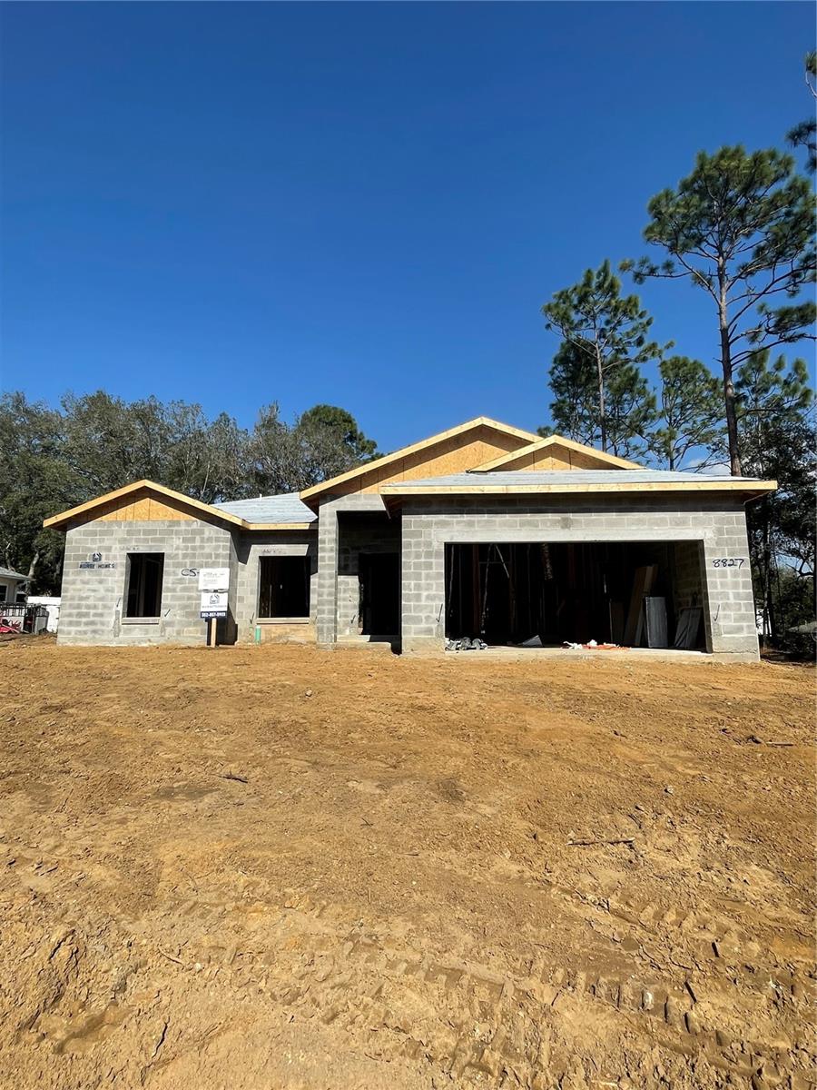 8827 N MENDOZA WAY, CITRUS SPRINGS, FL, 34434