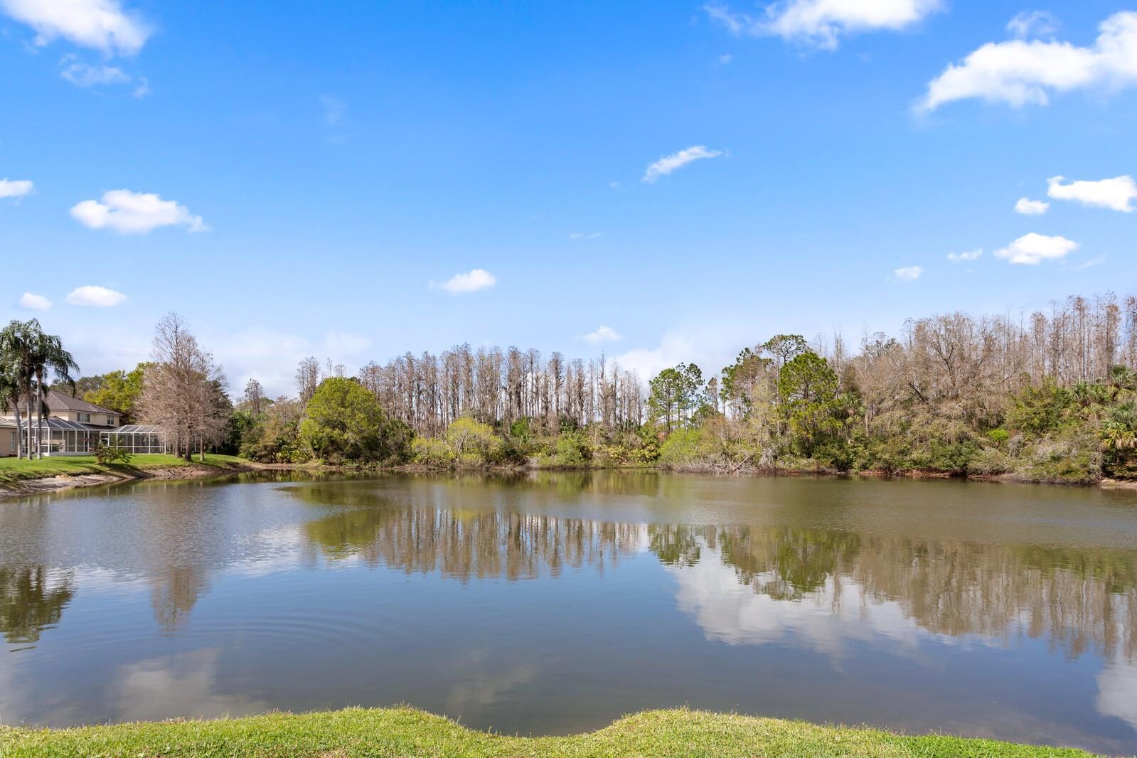 10214 GARDEN ALCOVE DR, TAMPA, FL, 33647