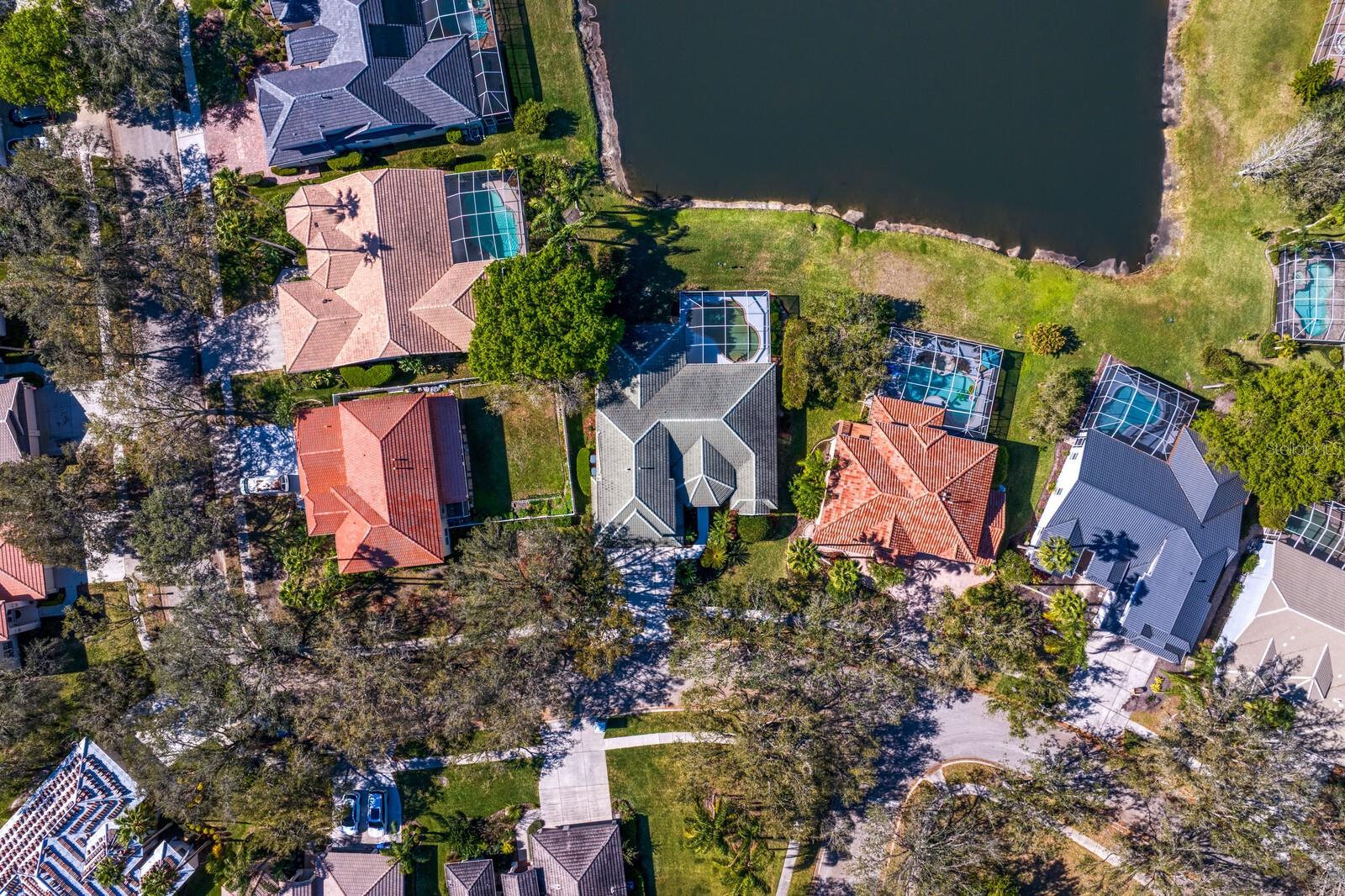 10214 GARDEN ALCOVE DR, TAMPA, FL, 33647