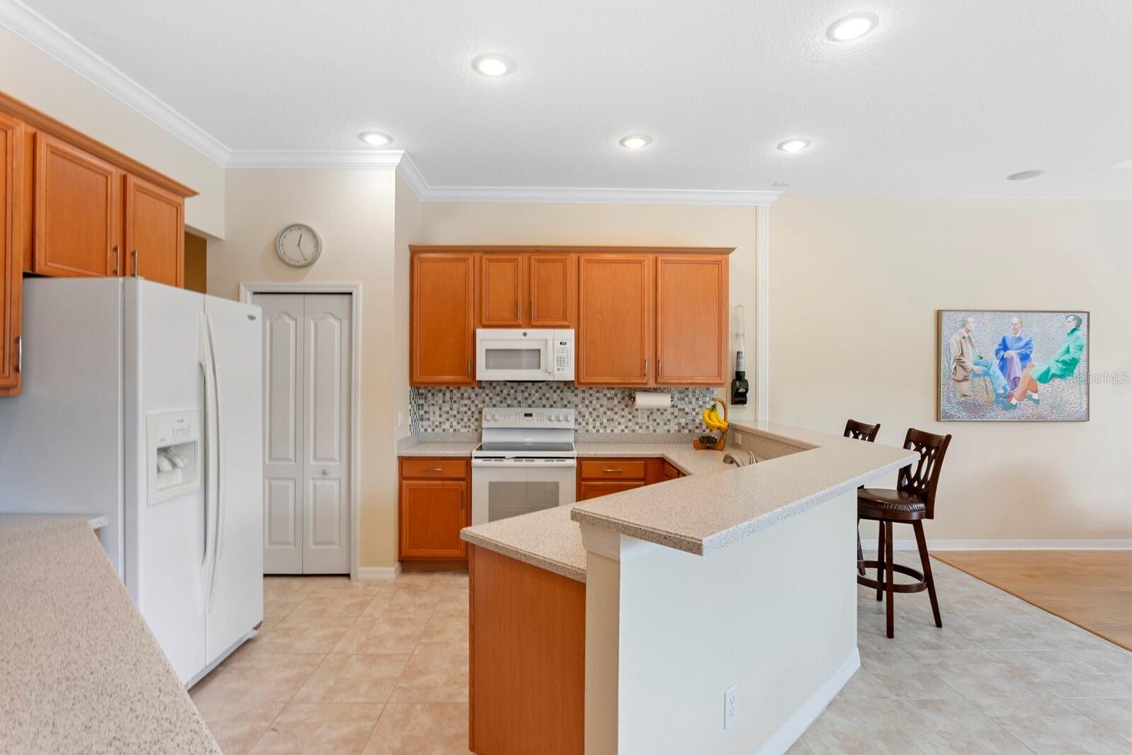 10214 GARDEN ALCOVE DR, TAMPA, FL, 33647