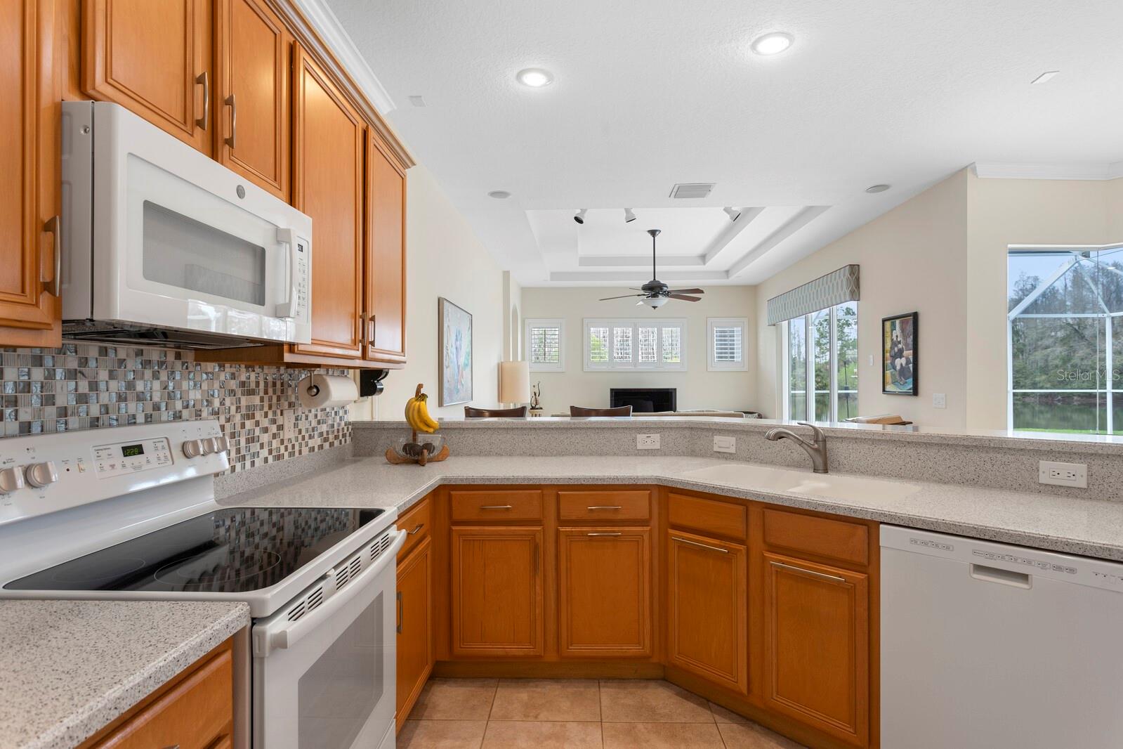 10214 GARDEN ALCOVE DR, TAMPA, FL, 33647
