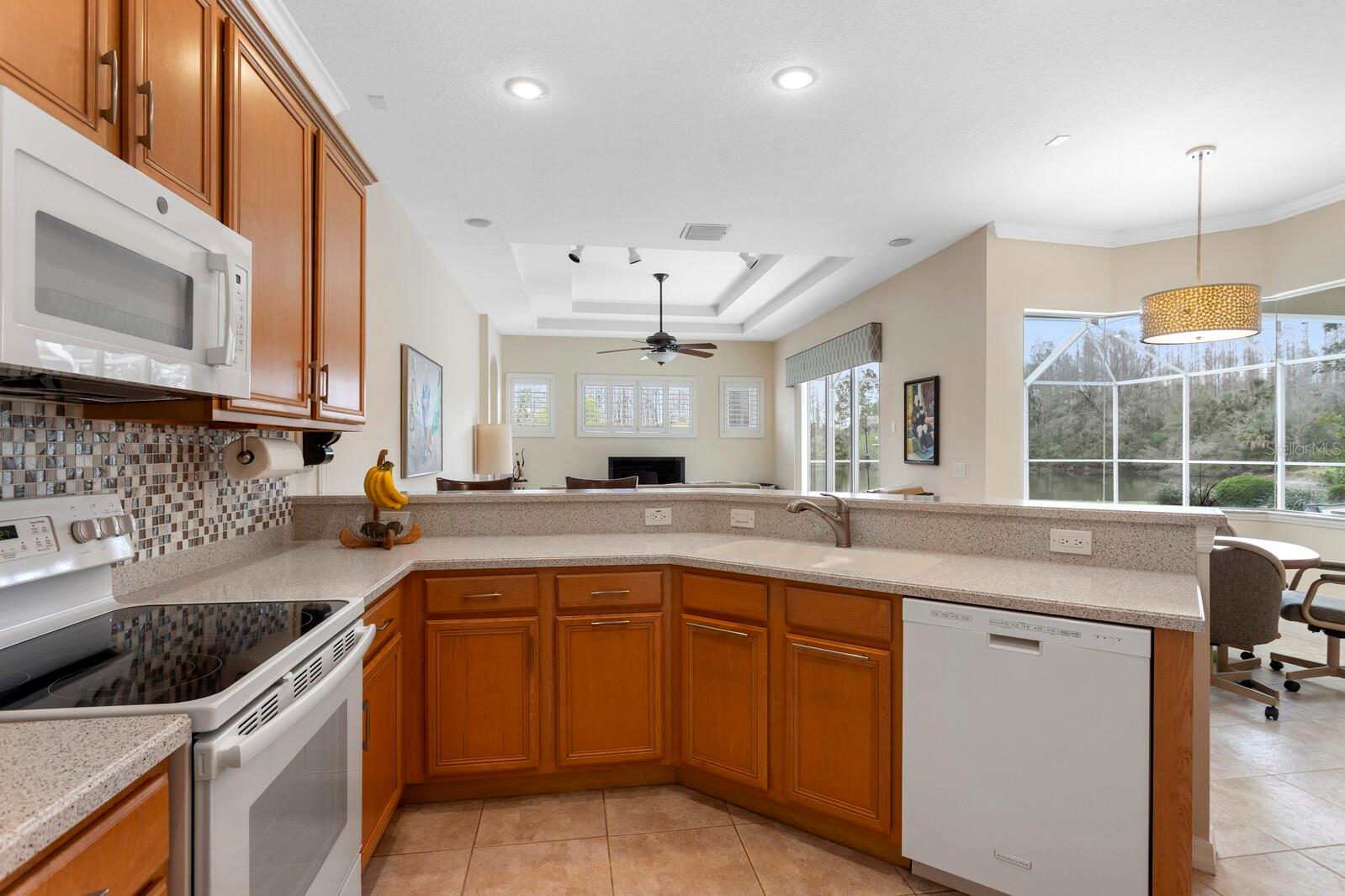 10214 GARDEN ALCOVE DR, TAMPA, FL, 33647