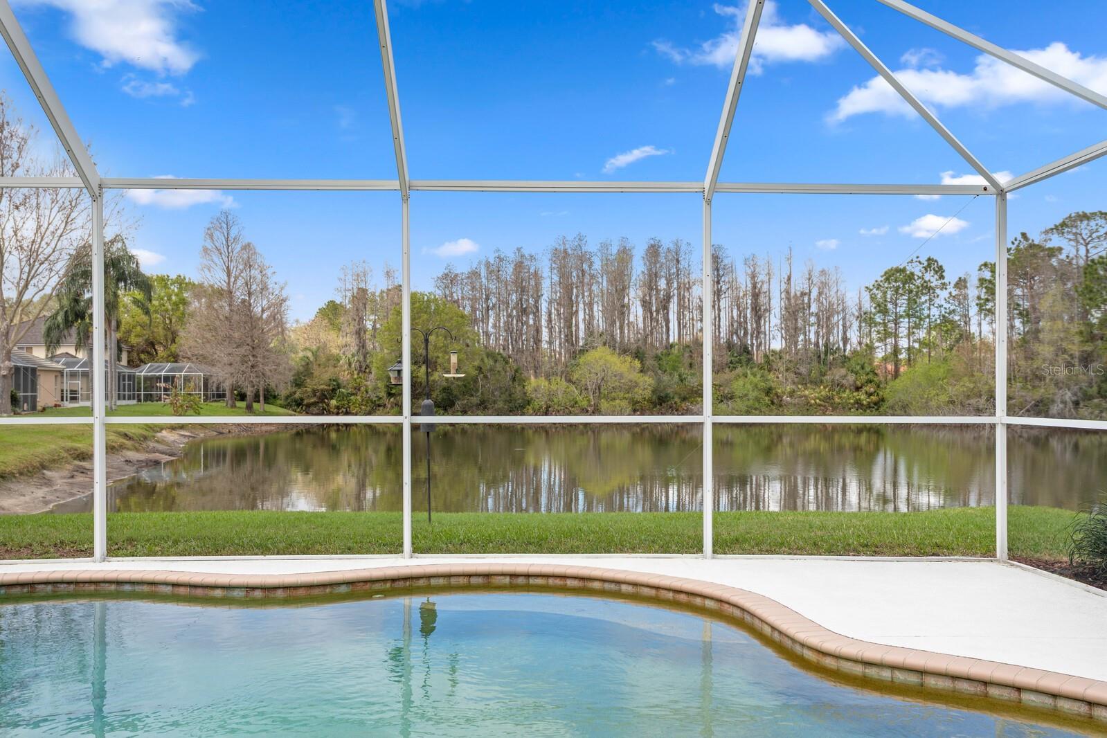 10214 GARDEN ALCOVE DR, TAMPA, FL, 33647