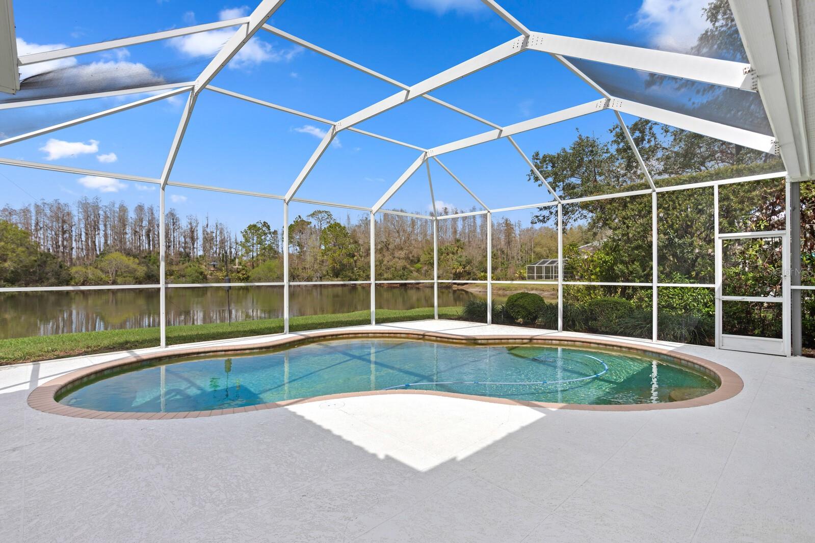 10214 GARDEN ALCOVE DR, TAMPA, FL, 33647