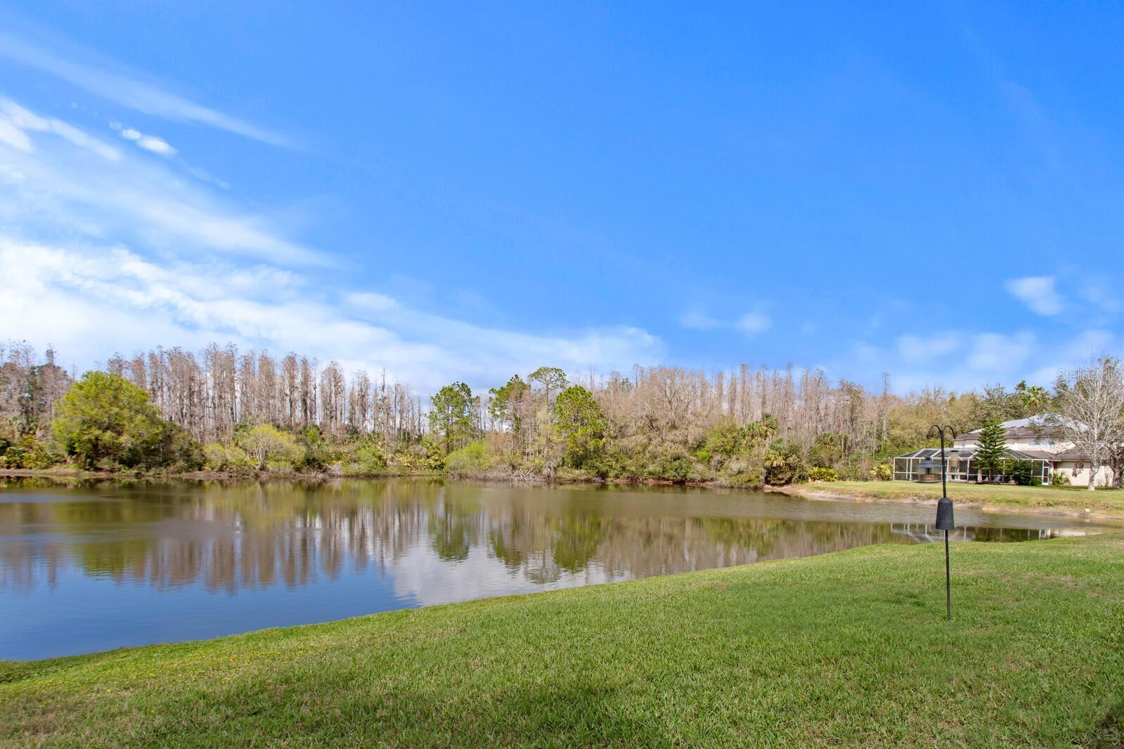 10214 GARDEN ALCOVE DR, TAMPA, FL, 33647