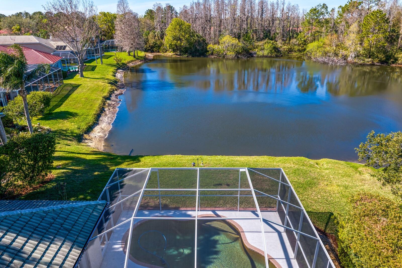10214 GARDEN ALCOVE DR, TAMPA, FL, 33647