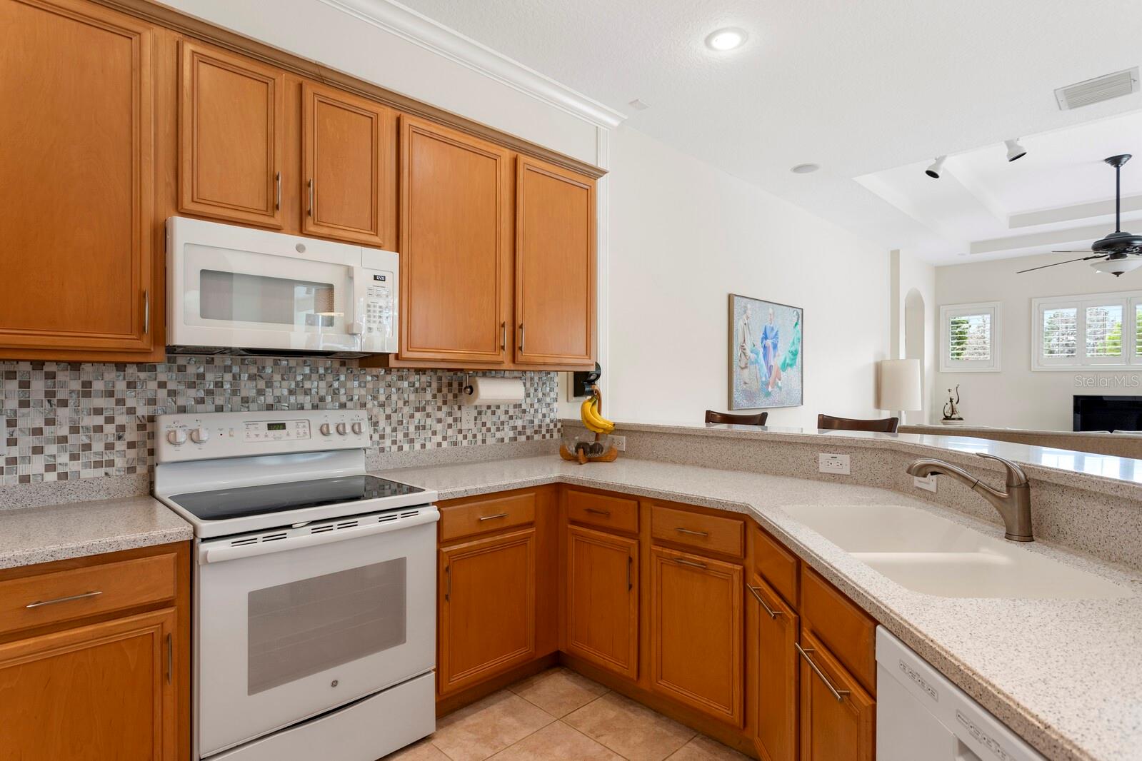 10214 GARDEN ALCOVE DR, TAMPA, FL, 33647